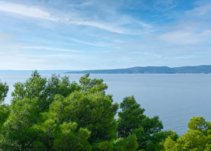 Апартаменты 7