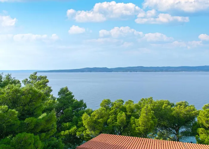 Апартаменты 7 *